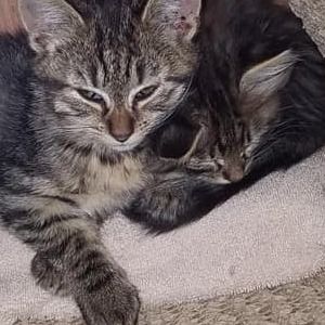 Meet your Posher, Marilyn